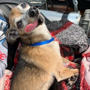 Meet your Posher, Tayler